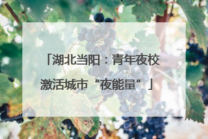 湖北当阳：青年夜校激活城市“夜能量”