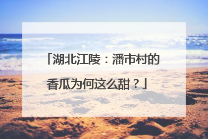 湖北江陵：潘市村的香瓜为何这么甜？