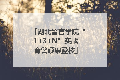 湖北警官学院“1+3+N”实战育警硕果盈枝
