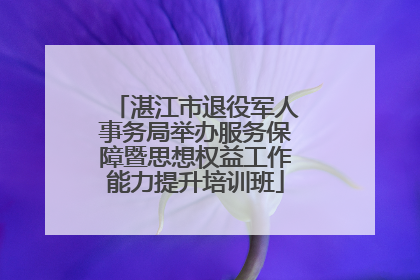 湛江市退役军人事务局举办服务保障暨思想权益工作能力提升培训班
