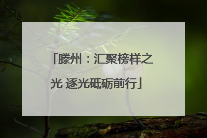 滕州：汇聚榜样之光 逐光砥砺前行