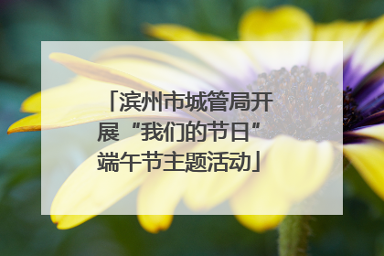 滨州市城管局开展“我们的节日”端午节主题活动