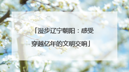 漫步辽宁朝阳：感受穿越亿年的文明交响
