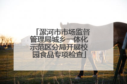 漯河市市场监督管理局城乡一体化示范区分局开展校园食品专项检查