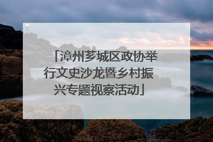 漳州芗城区政协举行文史沙龙暨乡村振兴专题视察活动