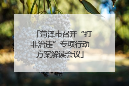 菏泽市召开“打非治违”专项行动方案解读会议