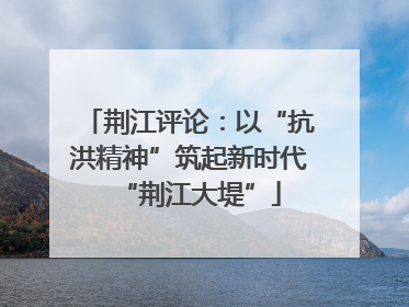 荆江评论：以“抗洪精神”筑起新时代“荆江大堤”