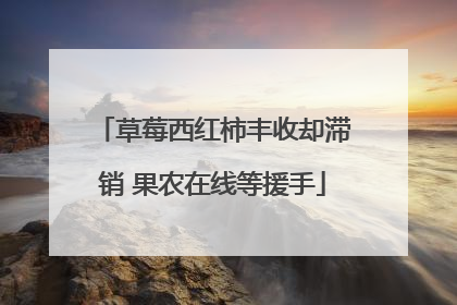草莓西红柿丰收却滞销 果农在线等援手