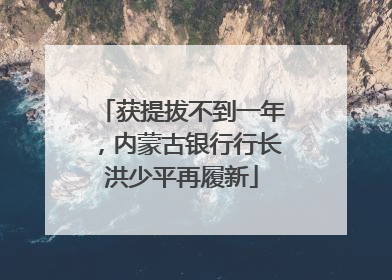 获提拔不到一年，内蒙古银行行长洪少平再履新