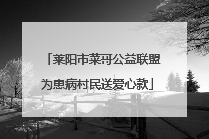 莱阳市菜哥公益联盟为患病村民送爱心款