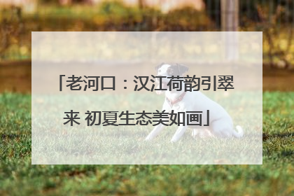 老河口：汉江荷韵引翠来 初夏生态美如画
