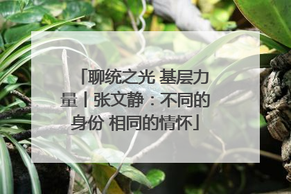 聊统之光 基层力量丨张文静：不同的身份 相同的情怀