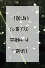 聊城山东梆子戏亮相中国非遗馆