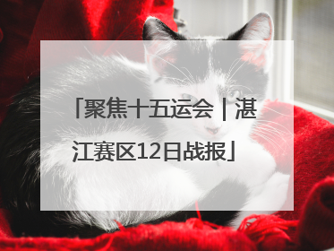聚焦十五运会｜湛江赛区12日战报