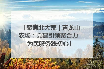 聚焦北大荒｜青龙山农场：党建引领聚合力 为民服务践初心
