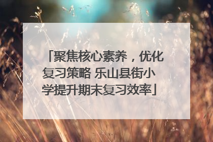 聚焦核心素养，优化复习策略 乐山县街小学提升期末复习效率