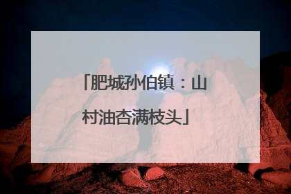 肥城孙伯镇：山村油杏满枝头