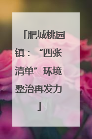 肥城桃园镇：“四张清单”环境整治再发力