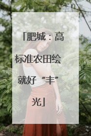 肥城：高标准农田绘就好“丰”光