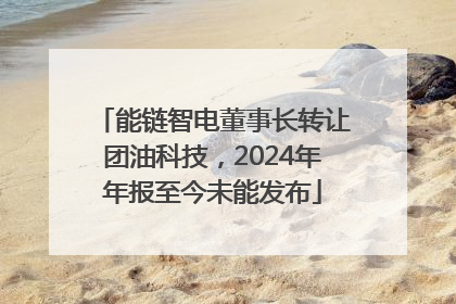 能链智电董事长转让团油科技，2024年年报至今未能发布