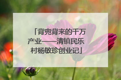 背兜背来的千万产业——清镇民乐村杨敏珍创业记