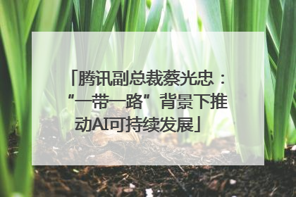 腾讯副总裁蔡光忠：“一带一路”背景下推动AI可持续发展
