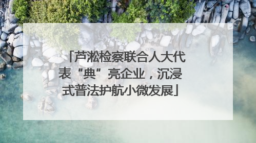 芦淞检察联合人大代表“典”亮企业，沉浸式普法护航小微发展