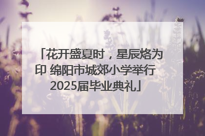 花开盛夏时，星辰烙为印 绵阳市城郊小学举行2025届毕业典礼