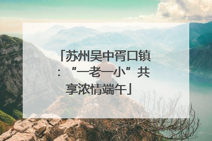 苏州吴中胥口镇：“一老一小”共享浓情端午