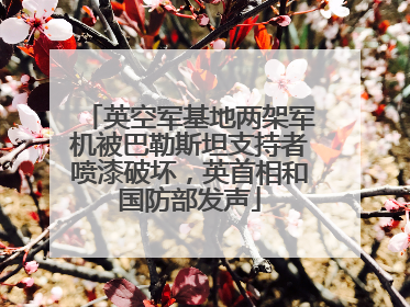 英空军基地两架军机被巴勒斯坦支持者喷漆破坏，英首相和国防部发声