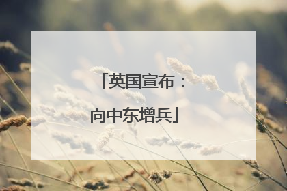 英国宣布：向中东增兵