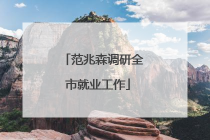 范兆森调研全市就业工作
