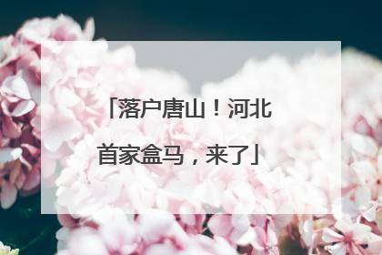 落户唐山！河北首家盒马，来了