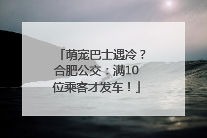 萌宠巴士遇冷？合肥公交：满10位乘客才发车！