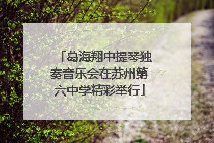 葛海翔中提琴独奏音乐会在苏州第六中学精彩举行