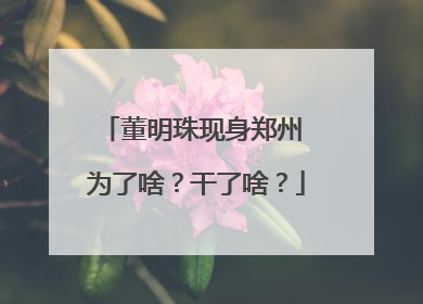 董明珠现身郑州 为了啥？干了啥？