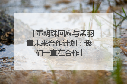董明珠回应与孟羽童未来合作计划：我们一直在合作