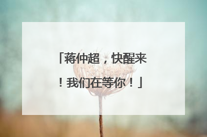 蒋仲超，快醒来！我们在等你！