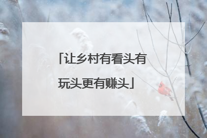 让乡村有看头有玩头更有赚头