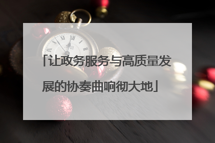 让政务服务与高质量发展的协奏曲响彻大地