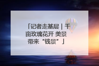 记者走基层｜千亩玫瑰花开 美景带来“钱景”