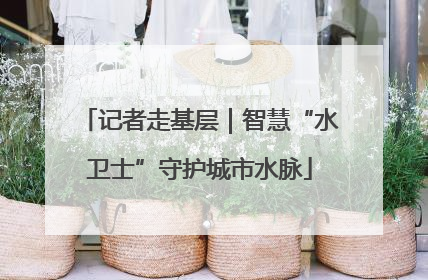 记者走基层｜智慧“水卫士”守护城市水脉