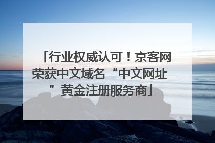 行业权威认可！京客网荣获中文域名“中文网址”黄金注册服务商