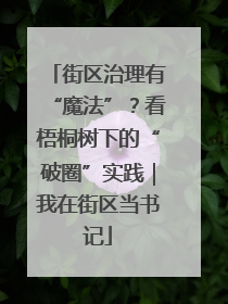 街区治理有“魔法”？看梧桐树下的“破圈”实践｜我在街区当书记