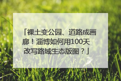 裸土变公园、道路成画廊！淄博如何用100天改写路域生态版图？