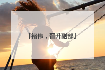 褚伟，晋升副部