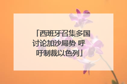 西班牙召集多国讨论加沙局势 呼吁制裁以色列