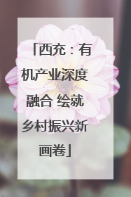 西充：有机产业深度融合 绘就乡村振兴新画卷