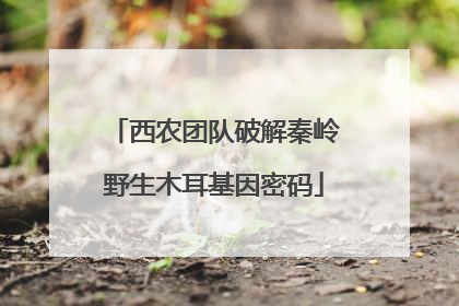 西农团队破解秦岭野生木耳基因密码
