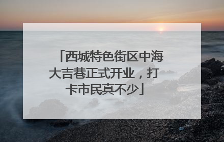 西城特色街区中海大吉巷正式开业，打卡市民真不少